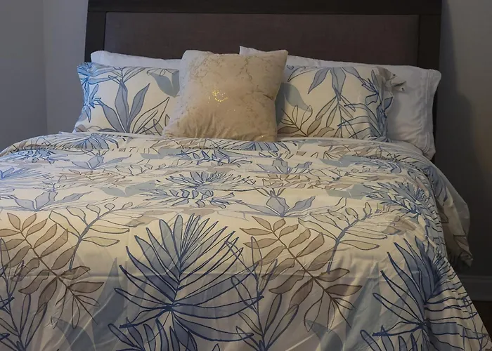 Beautiful Big 3 Bedroom Quiet Near Downtown